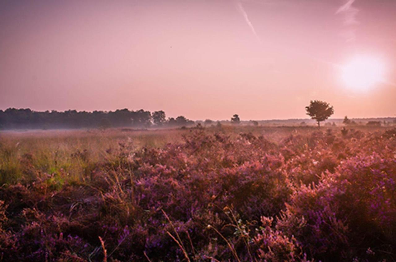 18 Persoons Veluwe Villa 부투이젠 외부 사진